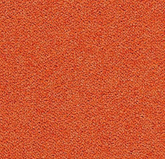 Ковровая плитка Tessera Chroma 3625 Calypso фото 1 | FLOORDEALER